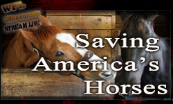 Saving America's Horses sm BNR